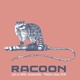 RACOON-LIVE AT HMH AMSTERDAM THEATRE SHOW