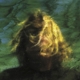 SEGALL, TY-THREE BELLS