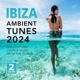 VARIOUS-IBIZA AMBIENT TUNES 2024