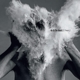 AFGHAN WHIGS-DO TO THE BEAST
