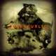 ONEREPUBLIC-NATIVE