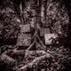 WASHINGTON, KAMASI-HARMONY OF DIFFERENCE =MINI-CD=