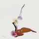 FUTURE ISLANDS-FAR FIELD