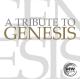 GENESIS-A TRIBUTE TO GENESIS