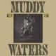 WATERS, MUDDY-KING BEE