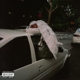 BLOOD ORANGE-NEGRO SWAN