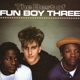 FUN BOY THREE-BEST OF