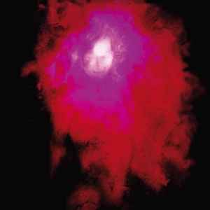 PORCUPINE TREE-UP THE DOWNSTAIR