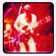 WELLER, PAUL-LIVE WOOD