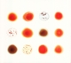 GABRIEL, PETER-SCRATCH MY BACK/AND I'LL SCRATCH YOURS