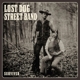 LOST DOG STREET BAND-SURVIVED