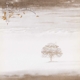 GENESIS-WIND & WUTHERING