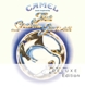 CAMEL-MUSIC INSPIRED BY THE SNOW GOOSE