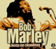 MARLEY, BOB & THE WAILERS-KEEP ON SKANKING