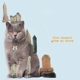 BRIAN JONESTOWN MASSACRE-FIRE DOESN'T GROW ON TREES