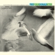 BYRD, DONALD-FREE FORM -LTD-