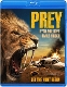 MOVIE-PREY
