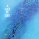 A SLICE OF LIFE-RESTLESS