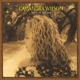 WILSON, CASSANDRA-BELLY OF THE SUN