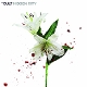 CULT-HIDDEN CITY