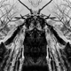 RULAMAN-TO SERVE THE DUNE -COLOURED-