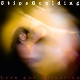 STIPSGOULDING-LOVE AND AFFECTION