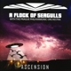 A FLOCK OF SEAGULLS-ASCENSION
