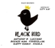 VARIOUS-BIG SLAP & BLACK BIRD RIDDIMS BY CITY...