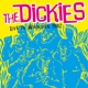DICKIES-LIVE IN WINNIPEG 1982