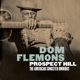 FLEMONS, DOM-PROSPECT HILL: THE AMERICAN SONG...
