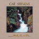 YUSUF/CAT STEVENS-BACK TO EARTH (LP+CD)