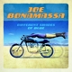 BONAMASSA, JOE-DIFFERENT SHADES OF BLUE