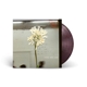 DAUGHTER-STEREO MIND GAME -COLOURED-