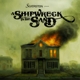 SILVERSTEIN-A SHIPWRECK IN THE SAND -COLOURED...
