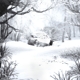 WEEZER-SZNZ: WINTER