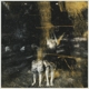 OLD FIRE-VOIDS