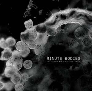 TINDERSTICKS-MINUTE BODIES: THE INTIMATE WORLD