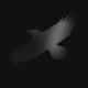 SIGUR ROS-ODIN'S RAVEN MAGIC