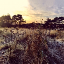 BRUN, ANE-LEAVE ME BREATHLESS