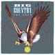 BIG COUNTRY-SEER