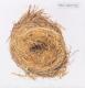 WILCO-A GHOST IS BORN