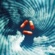PORCUPINE TREE-VOYAGE 34