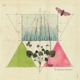 WAY DOWN WANDERERS-ILLUSIONS -COLOURED-