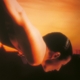 PORCUPINE TREE-ON THE SUNDAY OF LIFE