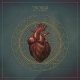 VEILS-SUN GANGS