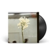 DAUGHTER-STEREO MIND GAME