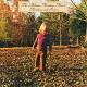 ALLMAN BROTHERS BAND-BROTHERS AND SISTERS