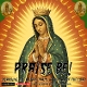 VARIOUS-PRAISE BE! BOARDING THE GOSPEL TRAIN, IN THRALL OF THE
