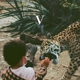 UNKNOWN MORTAL ORCHESTRA-V