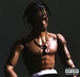SCOTT, TRAVIS-RODEO